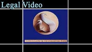 Stellato and Schwartz Commercial